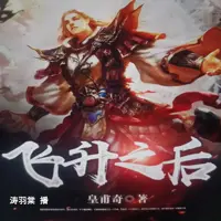 飞升之后